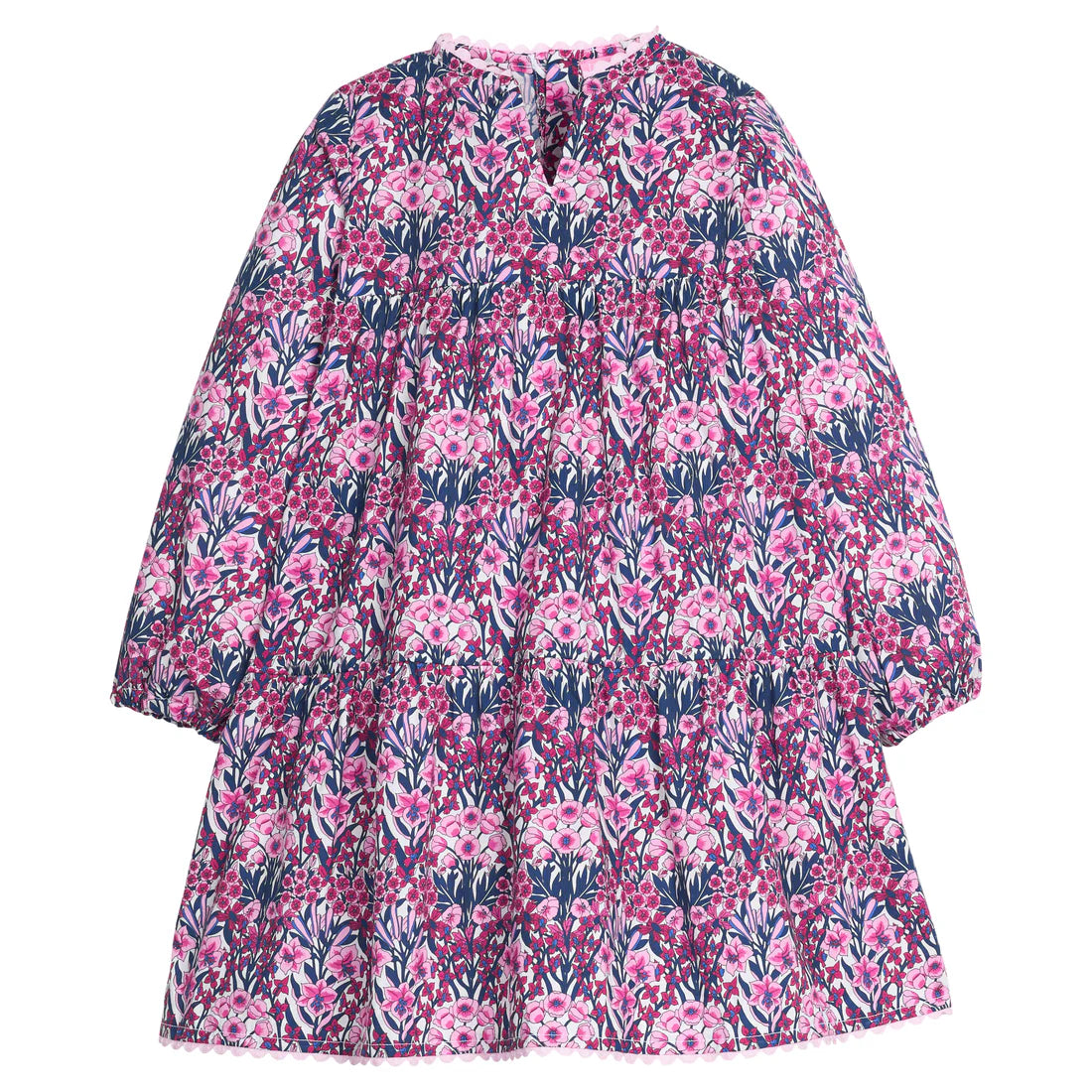 BISBY Postiano Dress- Foxcroft Winter Floral