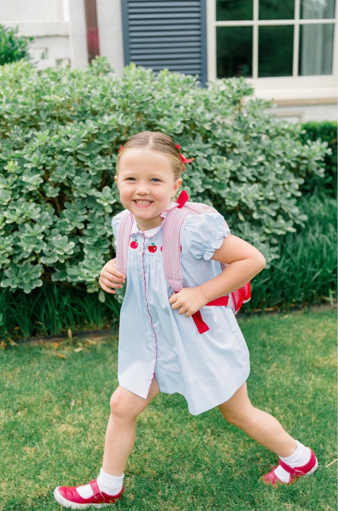 The Proper Peony Andover Apples Dress