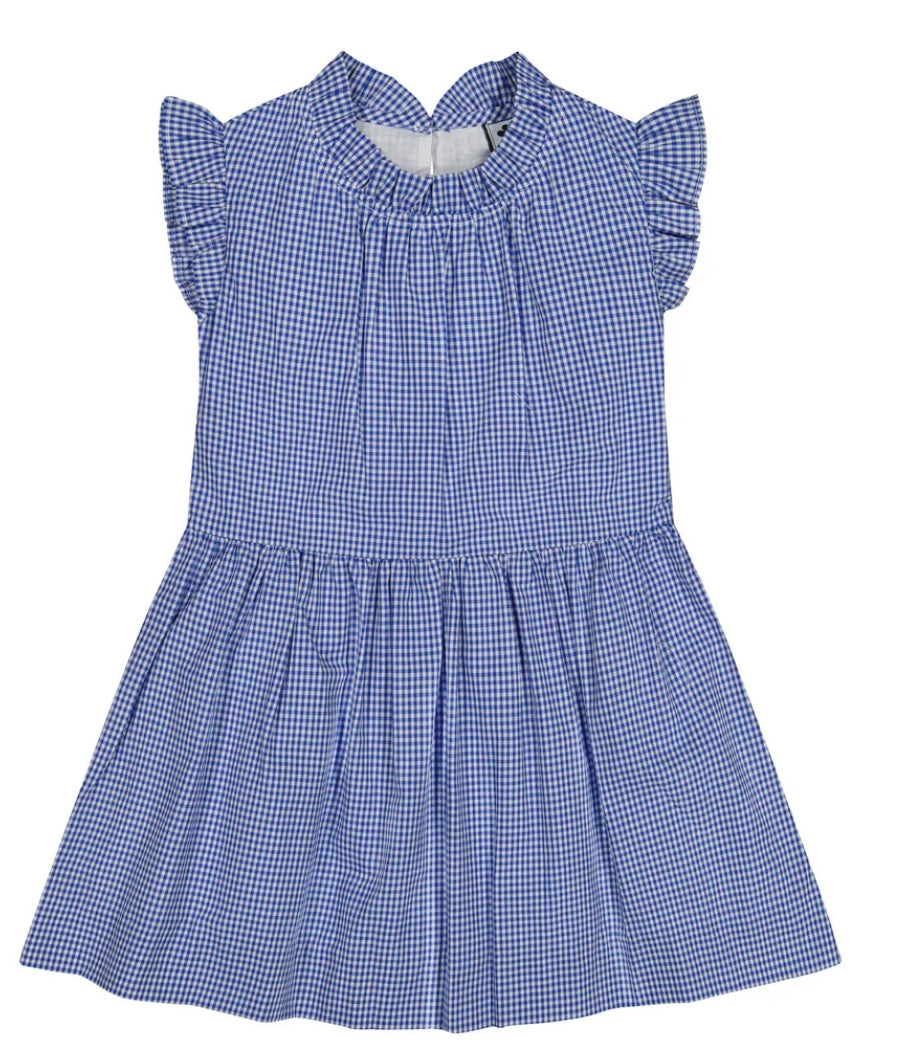 Busy Bees Kinsley Dropwaist Dress- Mini Blue Check