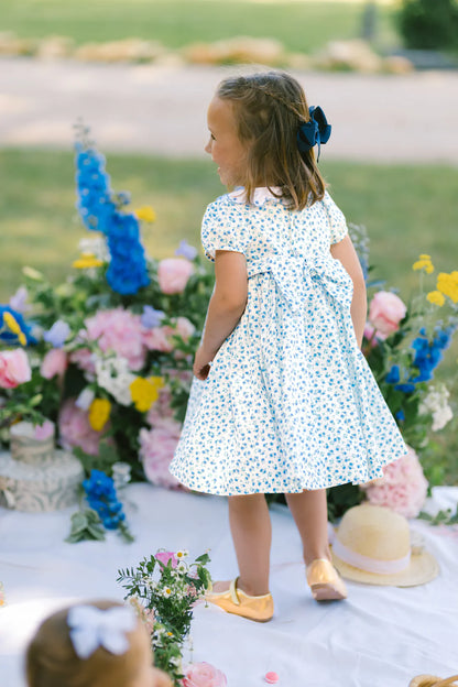 Antoinette Paris Isadora Floral Blue Dress
